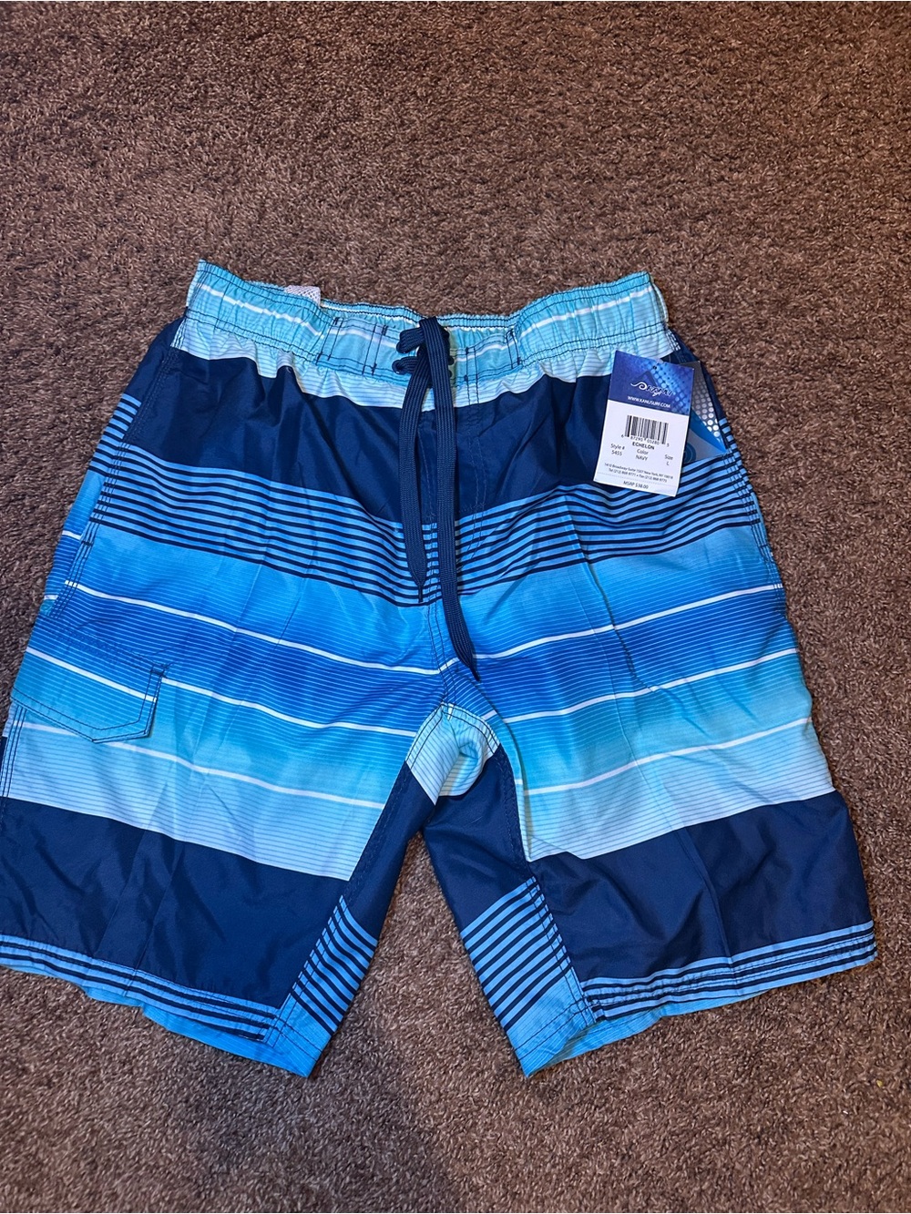 Kanu Surf Blue Gradient Striped Men's Swim Shorts